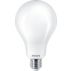 LED Filament Bulb Frosted 200W A95 E27