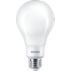 LED Filament Bulb Frosted 150;100;60W A21 E26