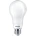 LED Filament Bulb Frosted 100W A21 E26 x2
