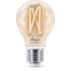 Smart LED Filament Bulb clear 7W (Eq.60W) A60 E27 x2