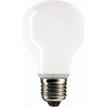 Ampoule LED Philips E27 A95 23W 3452Lm 6500K [PH-929002373101]