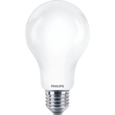 PHILIPS PHILIPS LAMPADINA LED CLASSIC 150W A67 E27 CLASSE ENERGETICA D  INCALED150865